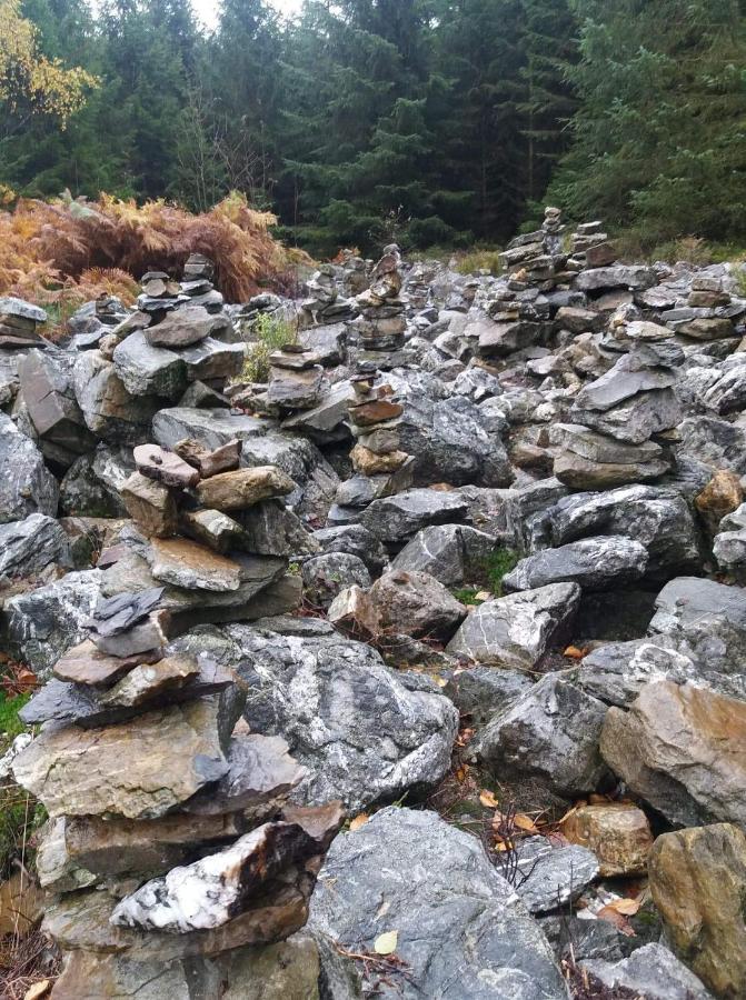 Au Coin Des Fagnes Apartment Jalhay Bagian luar foto