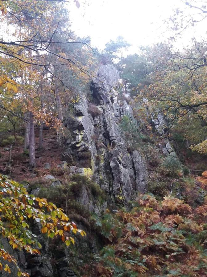 Au Coin Des Fagnes Apartment Jalhay Bagian luar foto